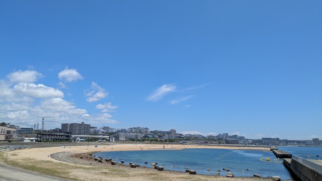 兵庫県明石市の花火大会歩道橋事故「風化させてはいけない 当時・現場から学ぶ」
