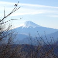 富士山、世界遺産登録（勧告発表）おめでとう！！